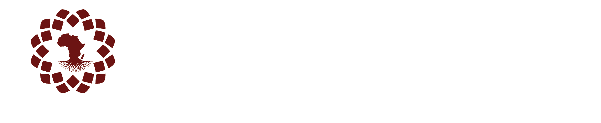 Fayda Institute - white logo